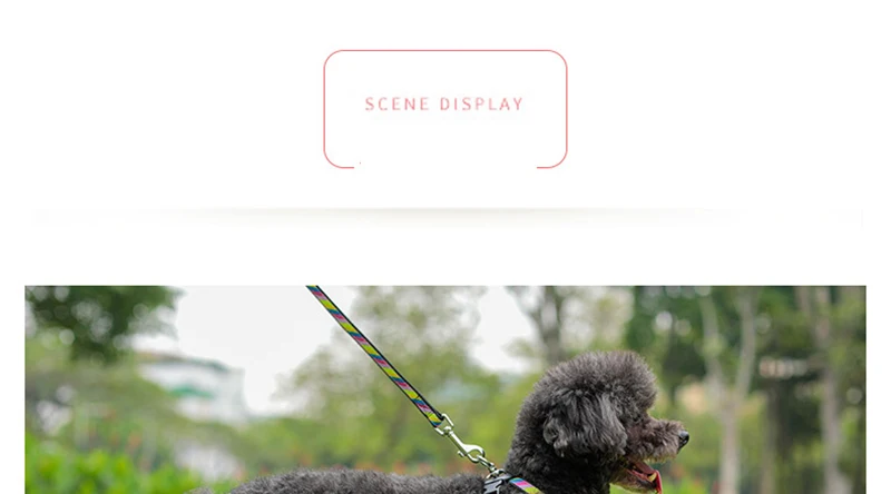 puppy collar set (8)