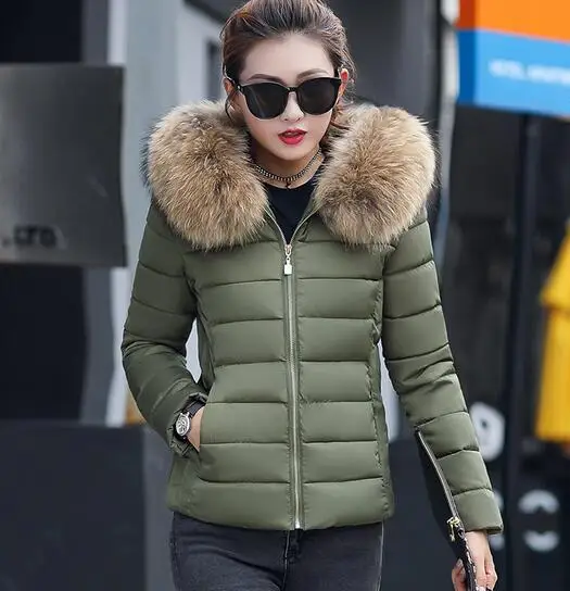 Winter new short large fur collar cotton female Korean version of the slim slimming cotton down jacket