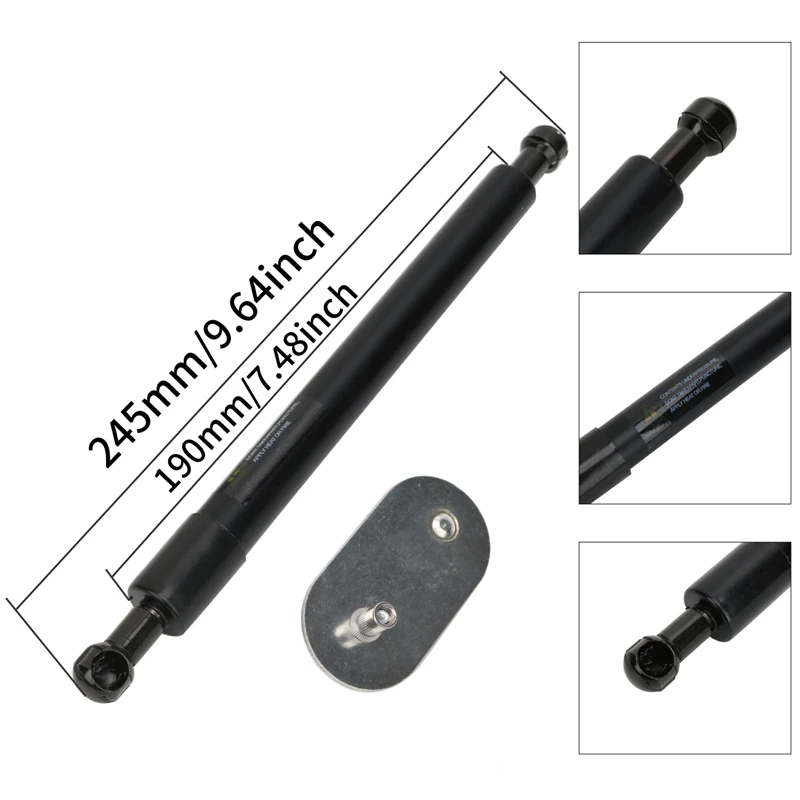 Tailgate Assist (12)