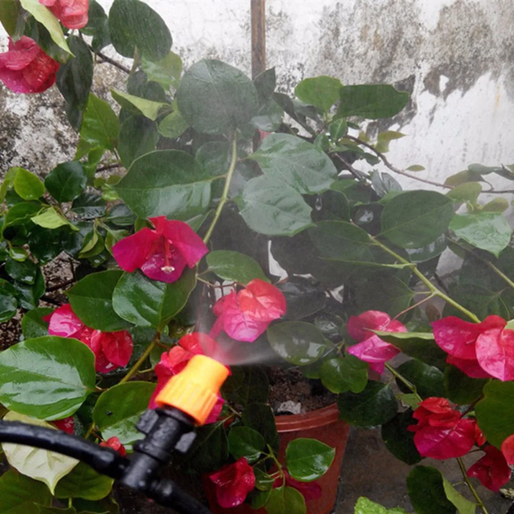 HTB1BNFpKVXXXXbfaXXXq6xXFXXXH