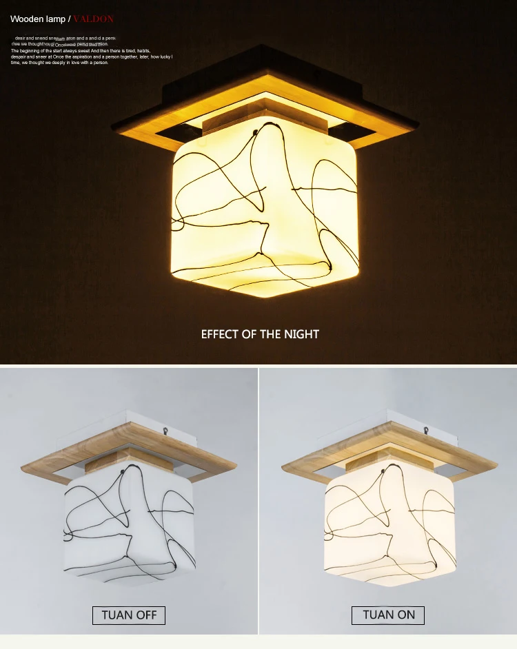 Ceiling Light Fixtures (9)