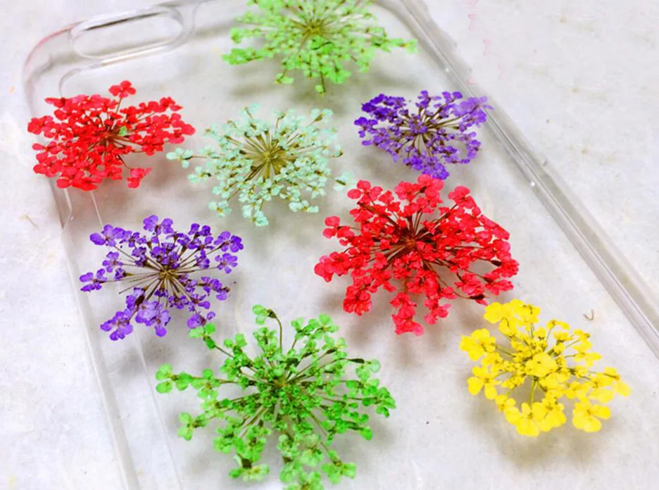 120 шт прессованный высушенный цветок Ammi Majus гербарий из растений для ювелирных
