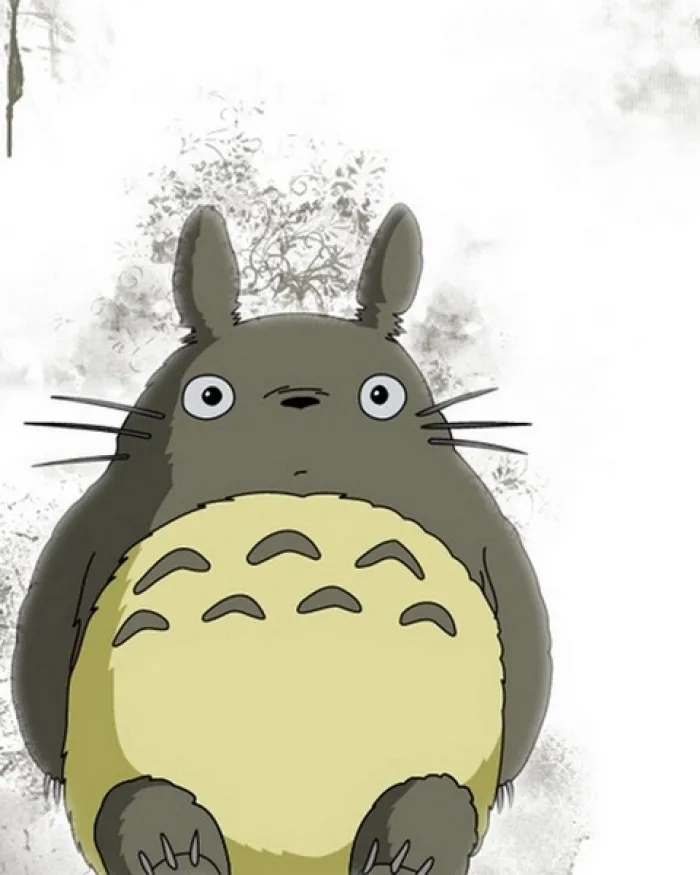 

price for express shipping