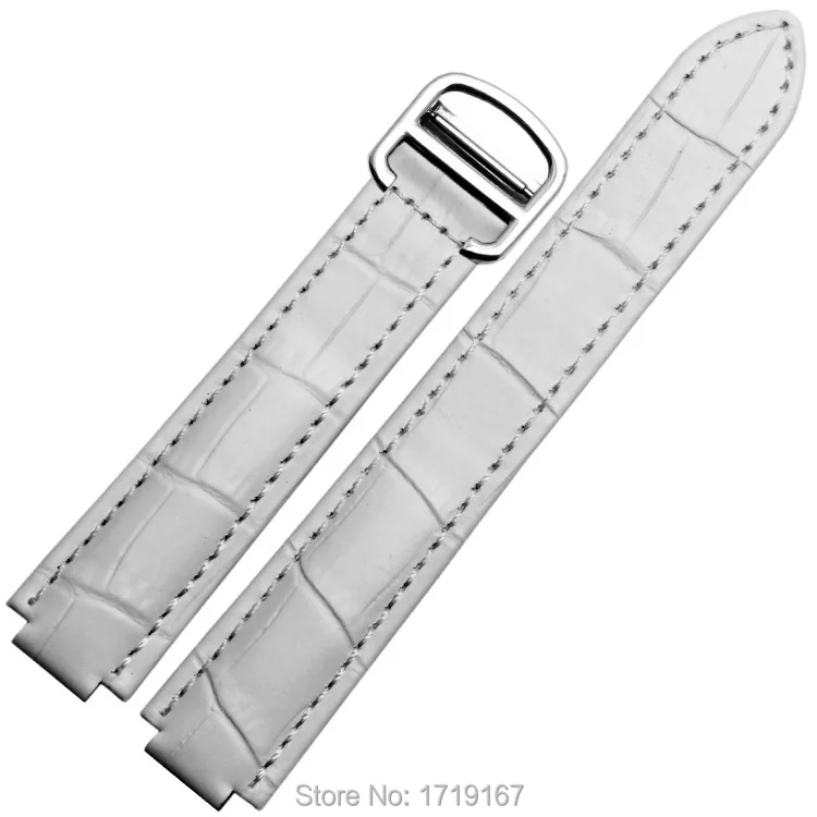 2555160039_1909481853