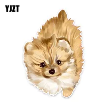 YJZT 11.2 CENTÍMETROS * 16CM 5 Interessante Animal Cão PVC Adesivos Etiqueta Do Carro Decalque Do Carro-1730