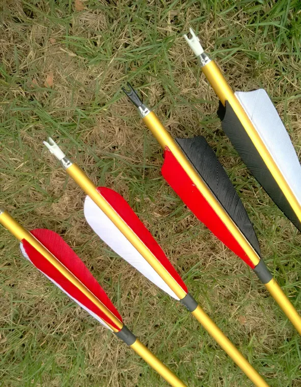Buy 6pcs For Beginner's use Aluminum Arrows For