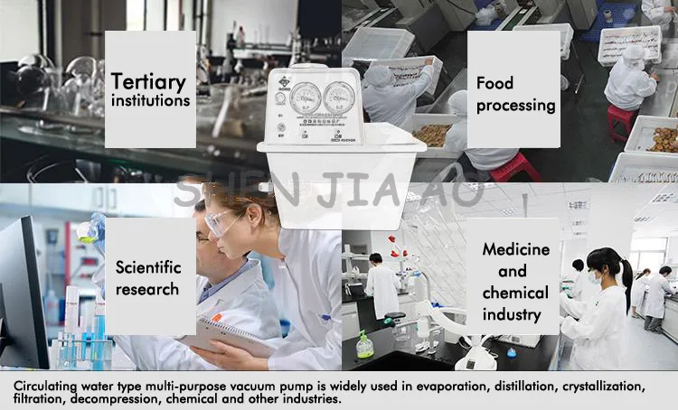 Многоцелевой Вакуумный насос циркуляции воды стандарт антикоррозионные двойной стол двойной накачки для лаборатории/преподавания