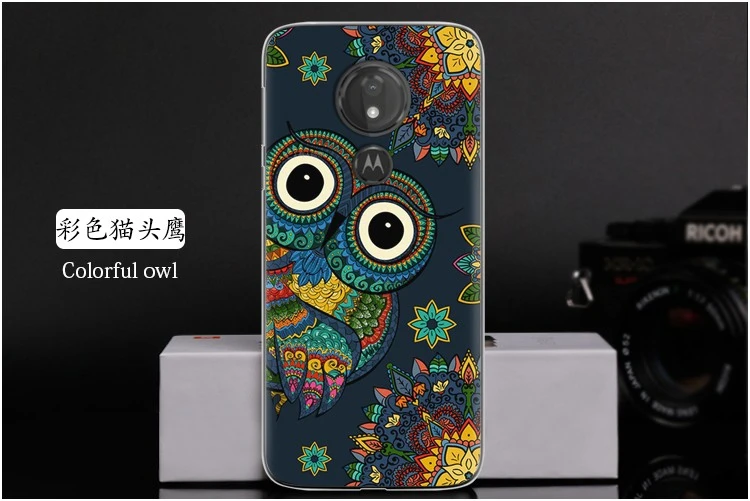 Colorful owl