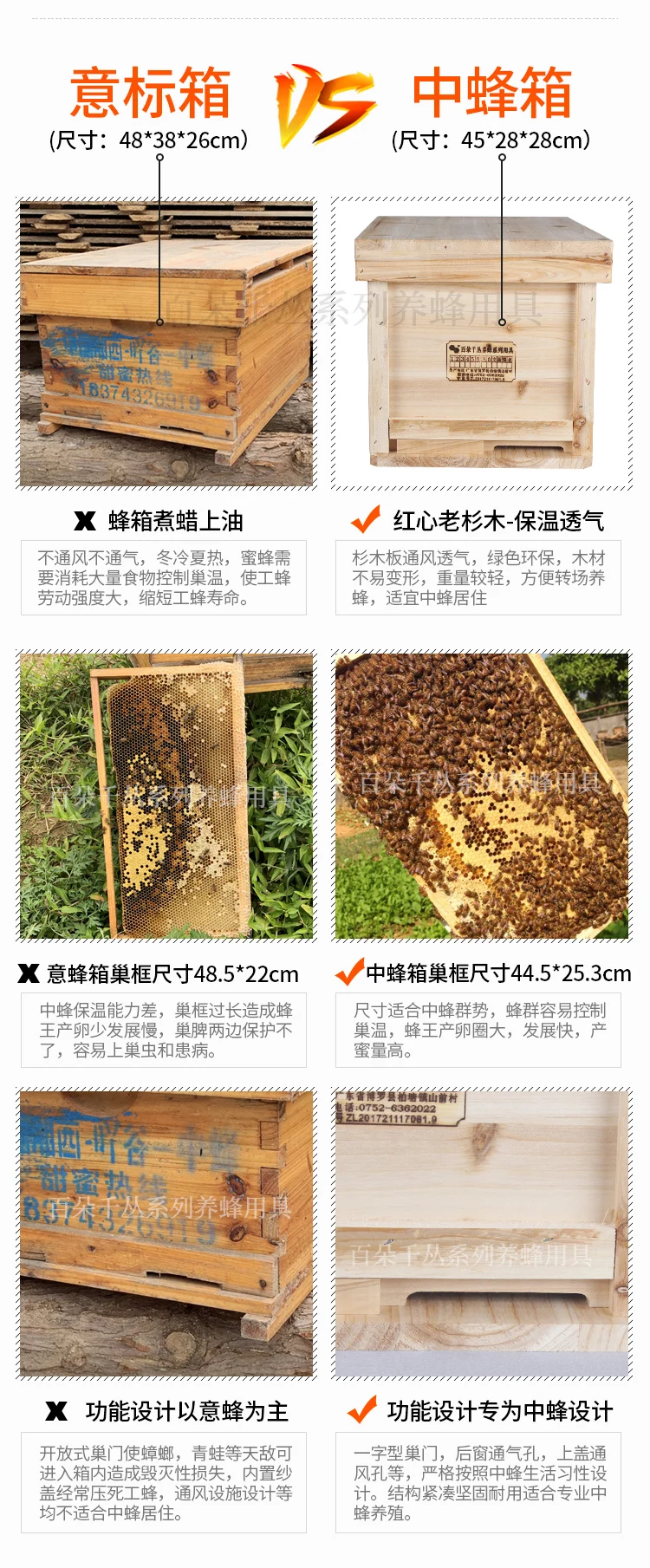 Chinese Fir Beehive Beekeeping Tool Set Pine Wooden Bee Hives In Beehive Box