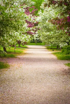 

Laeacco Flowers Road Trees Pathway Rural Scenic Photography Backgrounds Customized Vinyl Photographic Backdrops For Photo Studio