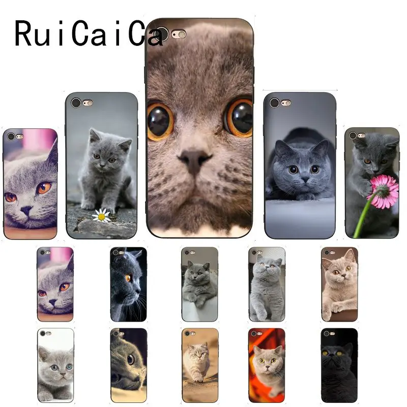RuiCaiCa Британский короткошерстный Кот DIY Роскошный Высокий протектор на конце