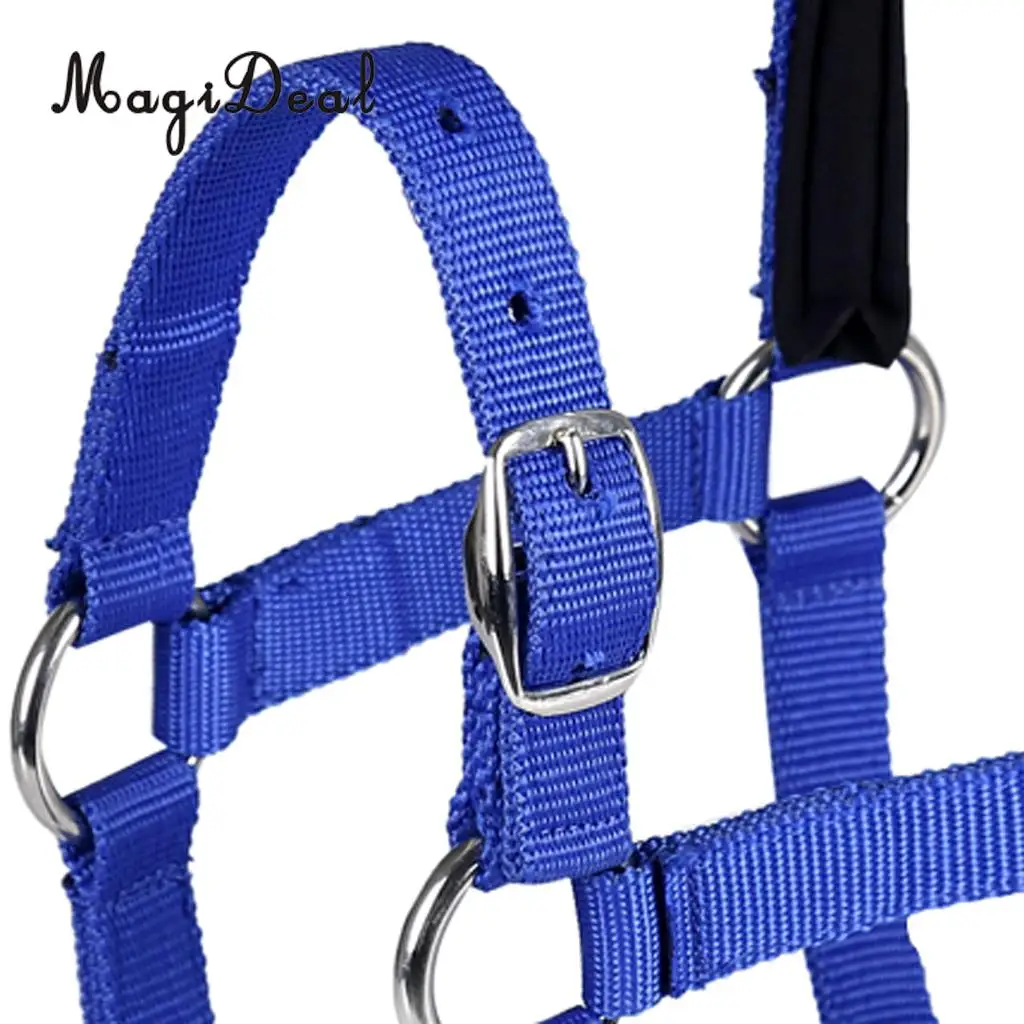 Adjustable Equestrian Western Horse Halter Fits 130cm - 165cm Horse Black/Blue/Red