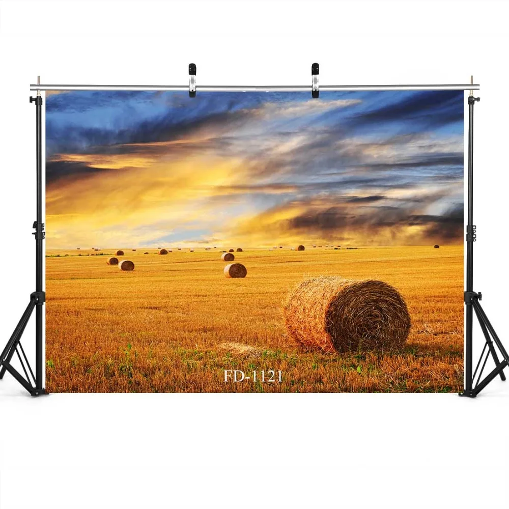 Field Sunset Photography Backdrop for Photo Booth Child Baby Shower Vinyl Cloth Printed Background Shoot | Электроника