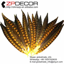 Zpdecor 10-12 дюймов(25-30 см) 50 шт./лот окрашенная Золотой Алмазный фазан перья из хвоста фазана для продажи