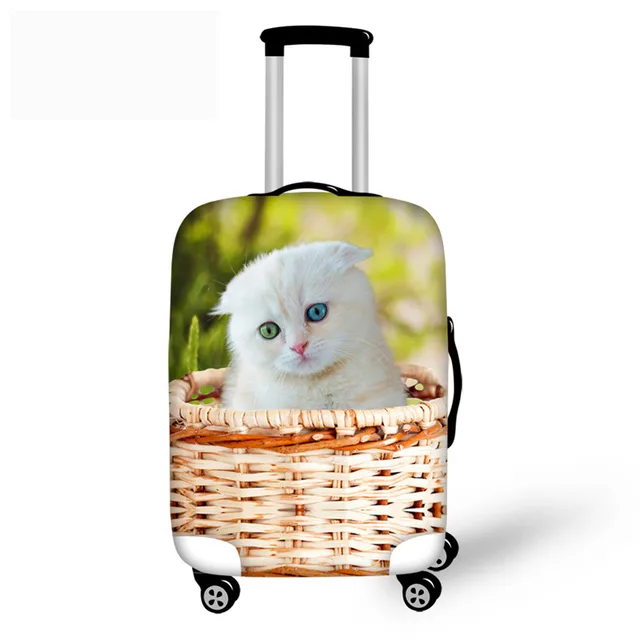cat luggage tsa