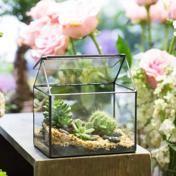 

NCYP Modern Glass Terrarium Geometric Succulent Plants Planter Vase Box Indoor Tabletop Container Vase for Home Decoration Gift