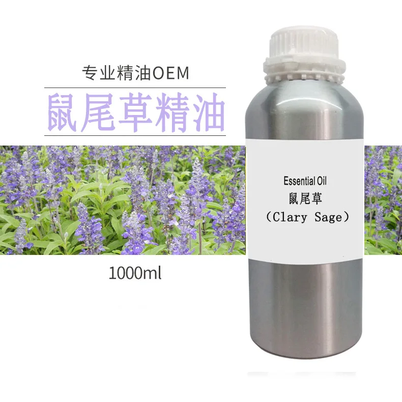 鼠尾草主图.jpg