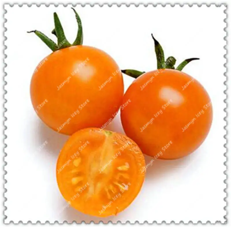Помидоры черри 500г. 1 г. Черри оранжевый. Черри оранжевый. Томат черри кнопка.