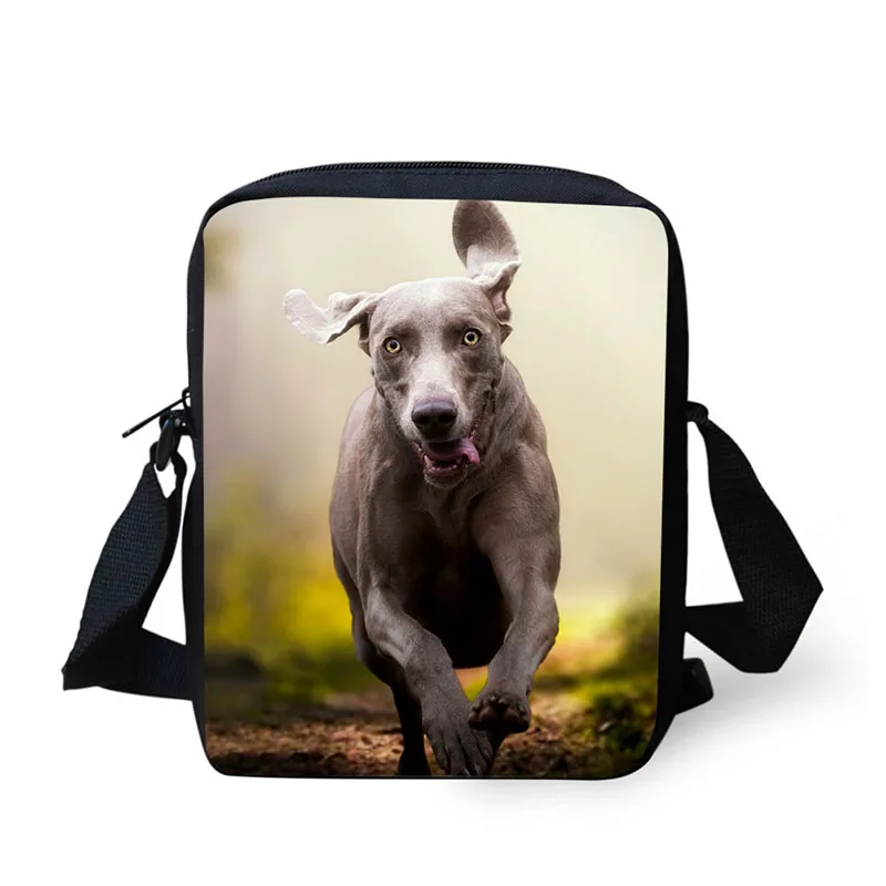 Small Messenger Bags for Women Pet Dog Printed Climb Crossbody Bag Kids Adjustable Shoulder