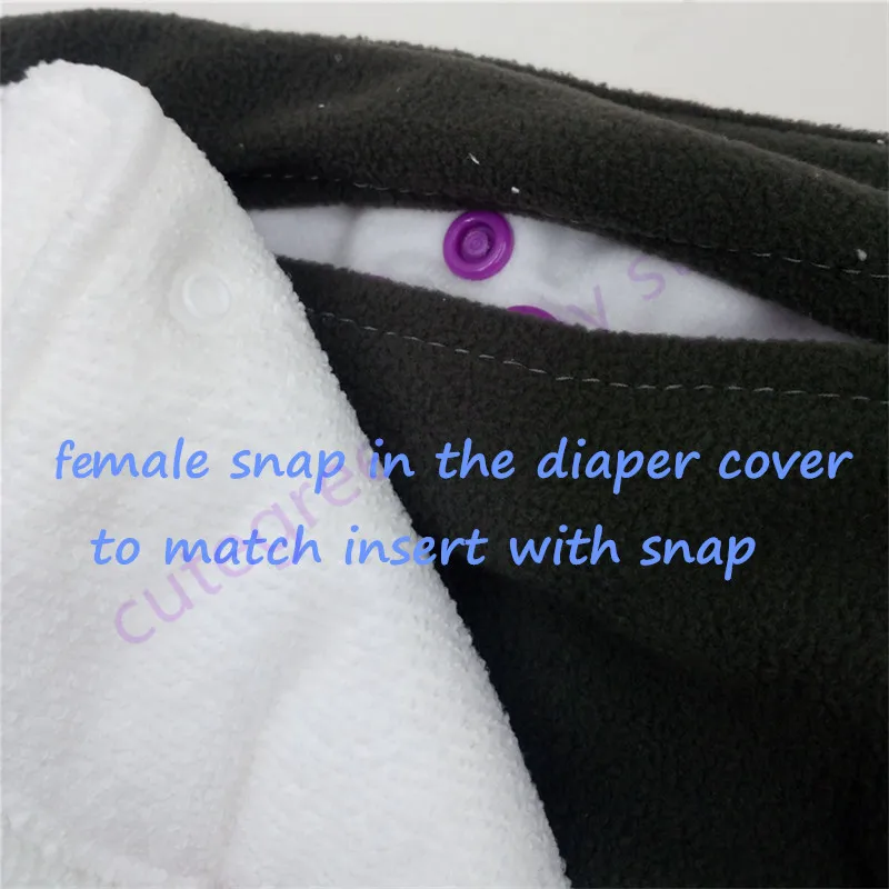 snap