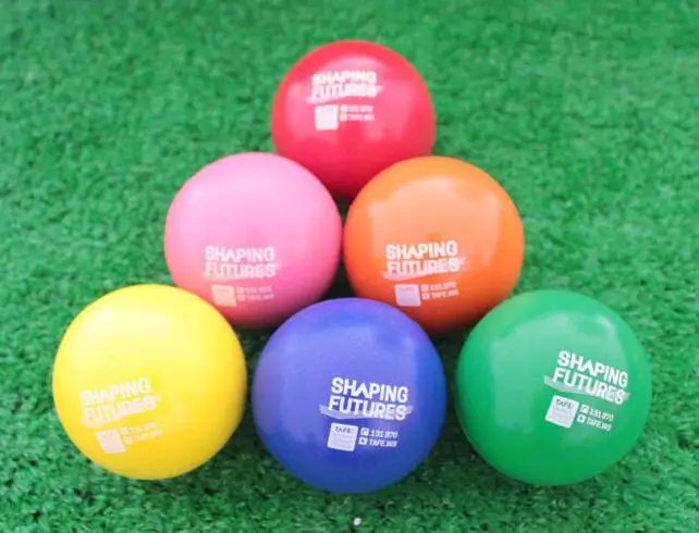 Рисунок 4 - Бесплатный цветной логотип фридж Free1