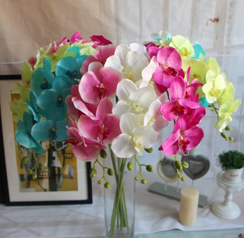 

[size] Oncidium orchid Phalaenopsis Phalaenopsis simulation simulation of Dendrobium Wen Xinlan
