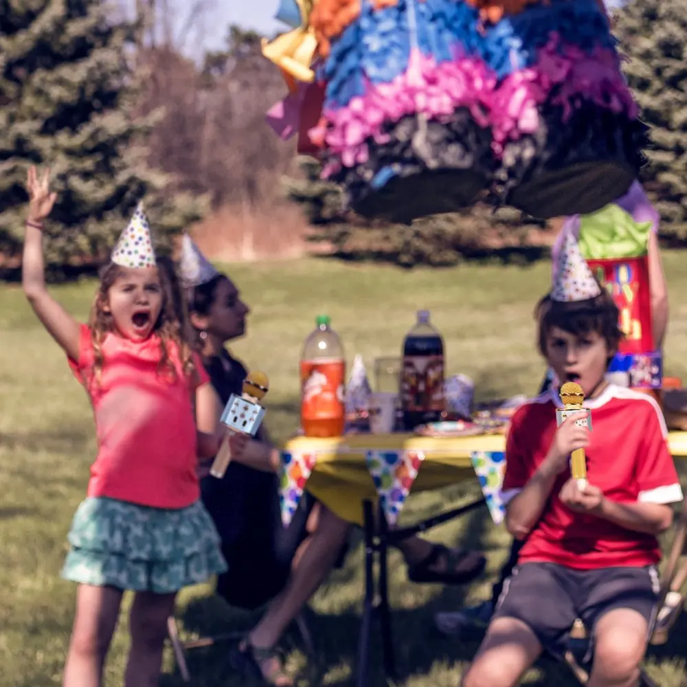 Bluetooth Wireless Microphone WS-858 Handheld Karaoke Mic USB KTV Player Bluetooth Speaker Record Music Microphones WS858