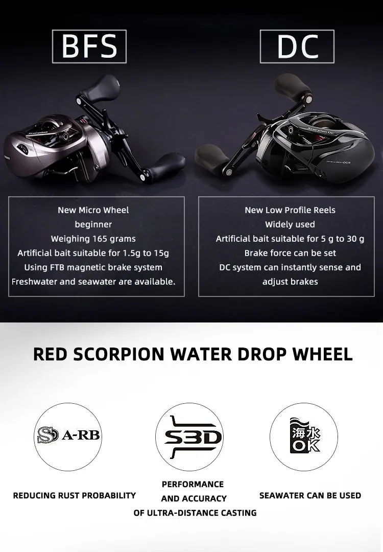 Scorpion_02