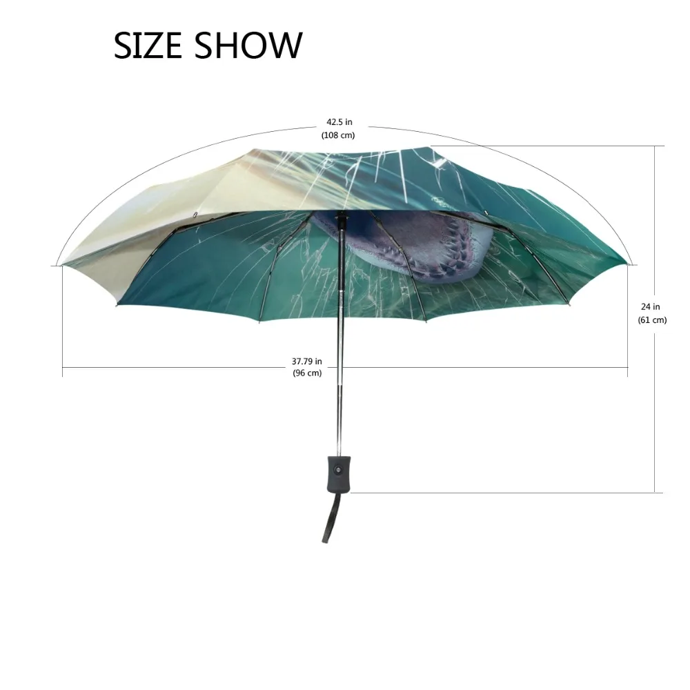 g14544840p128c142s203_2