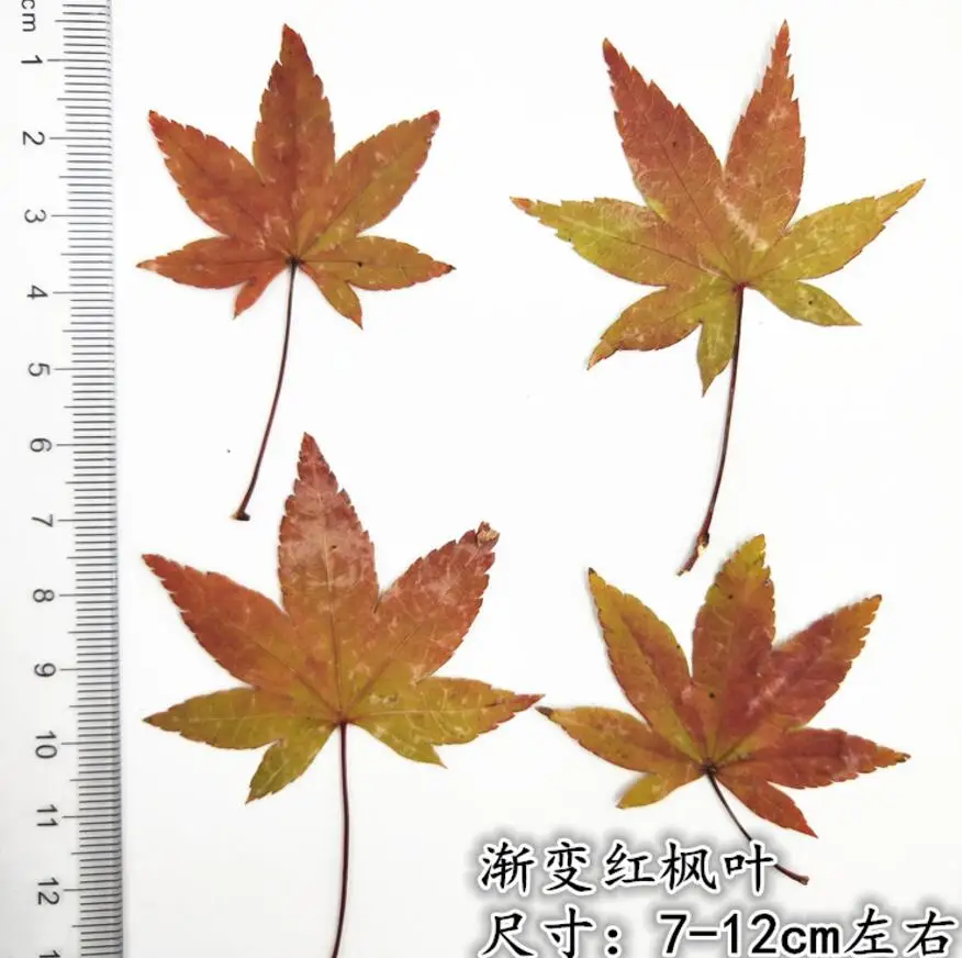 3--5