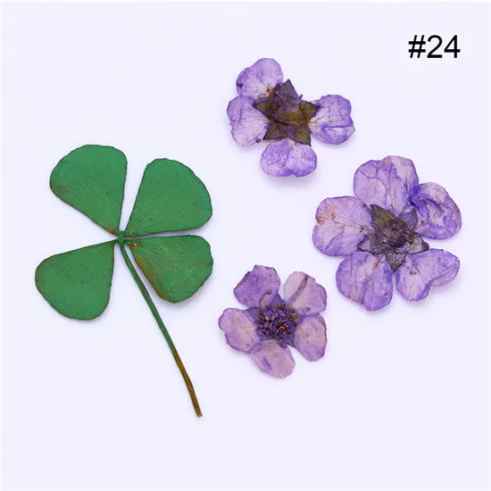pattern24 1 коробка 10 шт высушенный цветок Василек красивый консервированный цветок 3D Маникюр украшения для ногтей 6 цветов - Цвет: pattern24