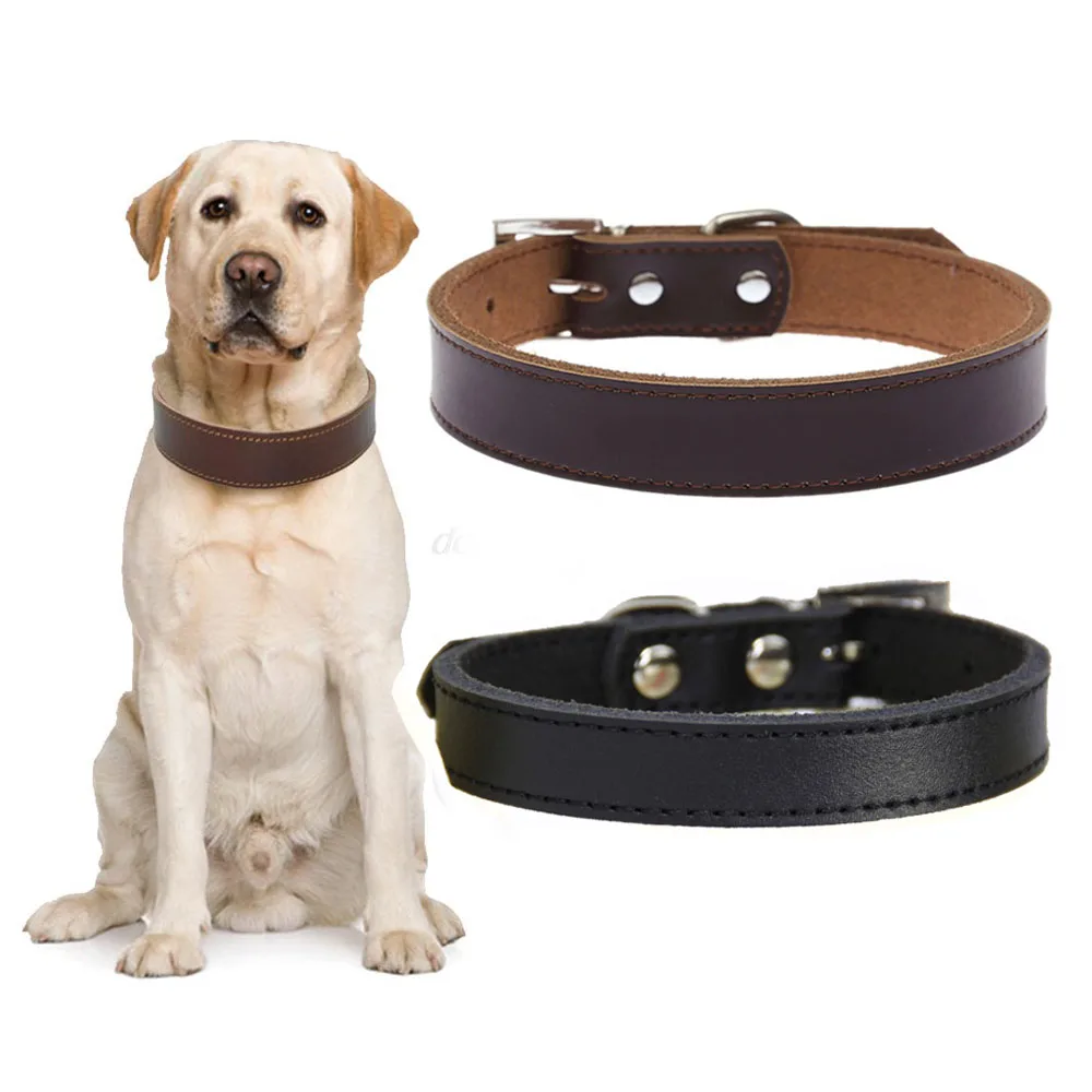 Genuine leather puppy dog collar for small medium large dogs solid