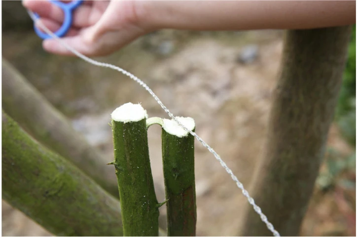 4659886676_738222187