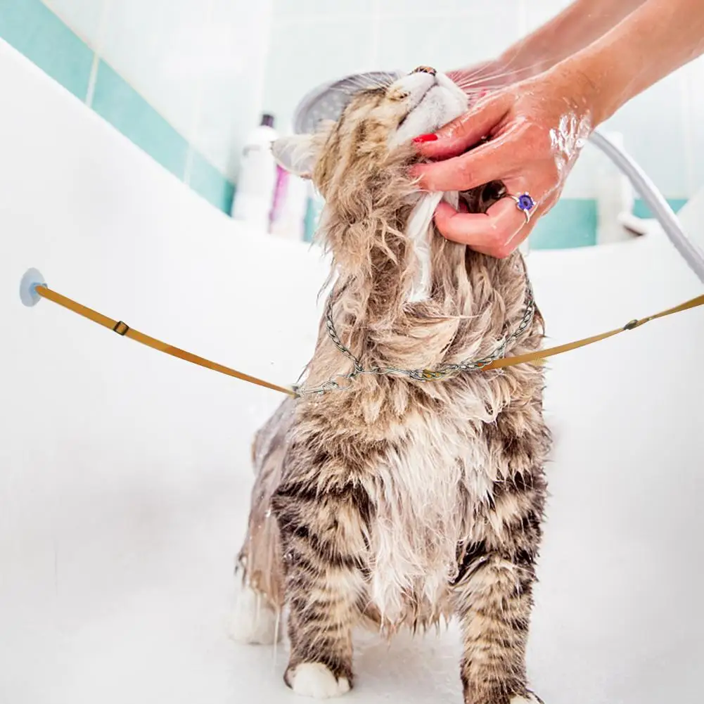 2 шт собачий поводок для купания, собачий банный поводок, фиксированная веревка для ванны, присоска для кошек, собак, фиксированная веревка