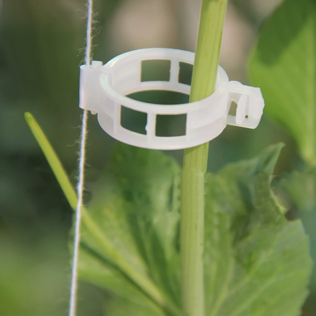 100pcs Tomato Clips Connect Pepper Cucumber Vines to Trellis Twine DIY Home Garden Growing Plant Supplies Wholesale