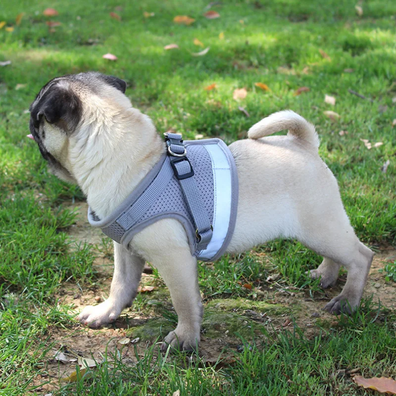 1pc/set Pet Dog Chest Strap Leash Adjustable Soft Breathable Dog Harness Nylon Mesh Vest Harness for Dogs Puppy Collar Jacket 1pc/set Pet Dog Chest Strap Leash Adjustable Soft Breathable Dog Harness Nylon Mesh Vest Harness for Dogs Puppy Collar Jacket