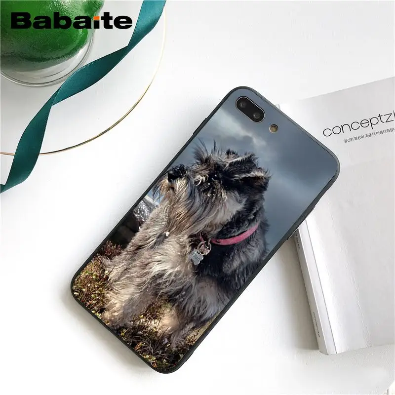 Babaite чехол для телефона с милыми собаками Шнауцер для iphone 11 Pro 11Pro Max 8 7 6 6S Plus X XS MAX 5 5S SE XR - Цвет: A8