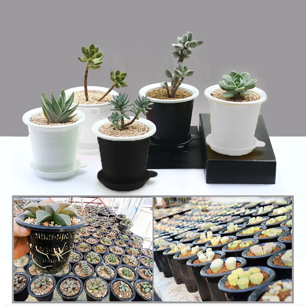 

Double-layer DIY Fleshy Flower Pot Portable Office with Hole Seeding Container Decoration Home Desktop Flower Pot