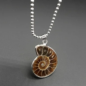 

Natural variegated conch fossil necklace with spiral conch pendant slipper necklace
