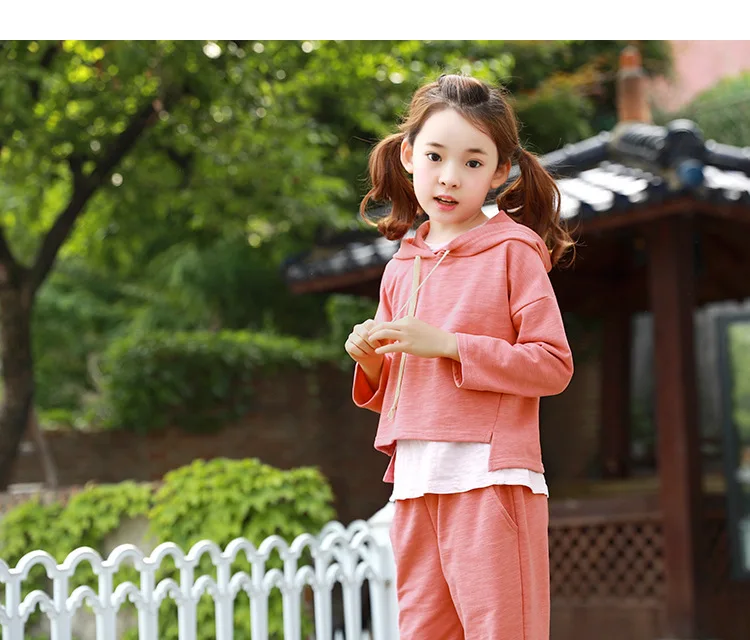 baby teenage girls clothing sets girl sport suits children clothing sets 2017 Brand New hooded kids clothes set hoody and pants  4 5 6 7 8 9 10 11 12 13 14  years old little big teenage girls tracksuits sets sports clothes  (20)