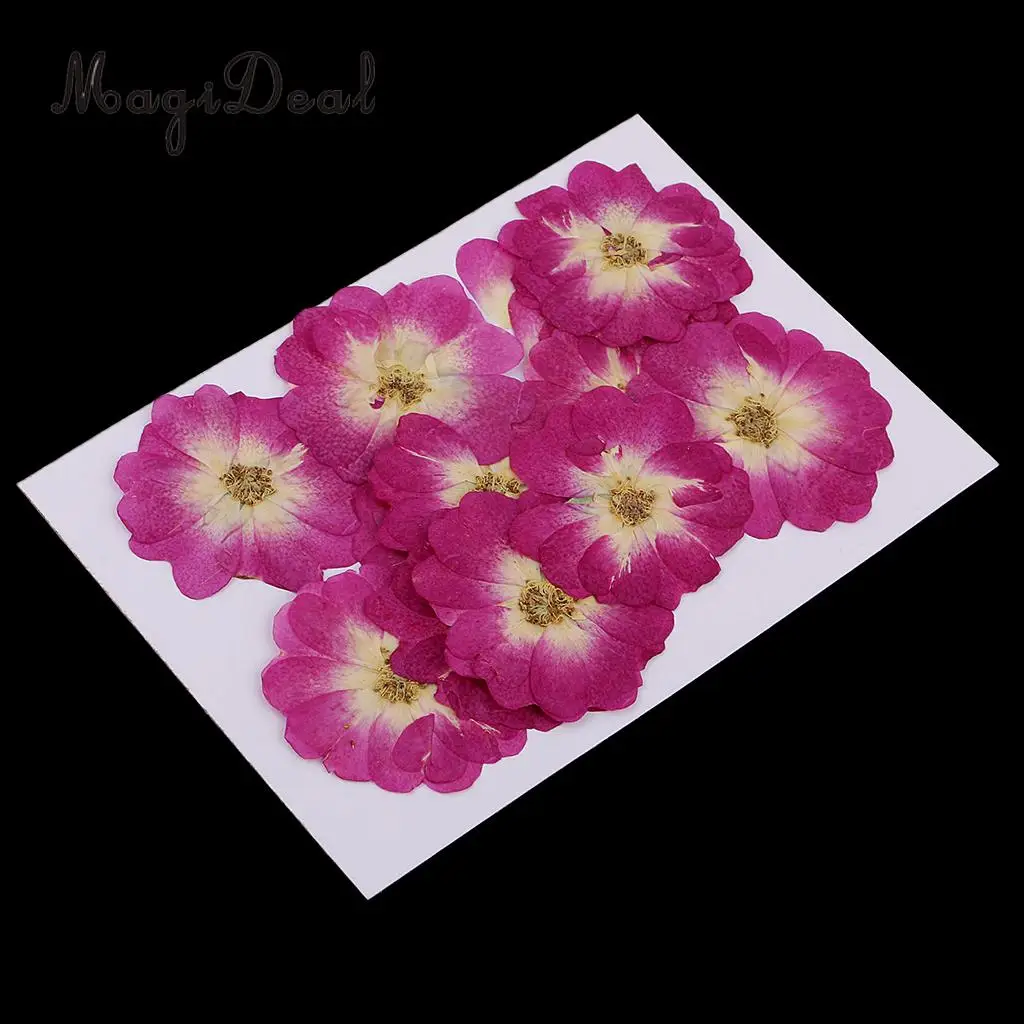12 Pieces Chinese Rose Pressed Natural Dried Flower for DIY Resin Ornament Candle Making Decoration Purple 3-4cm