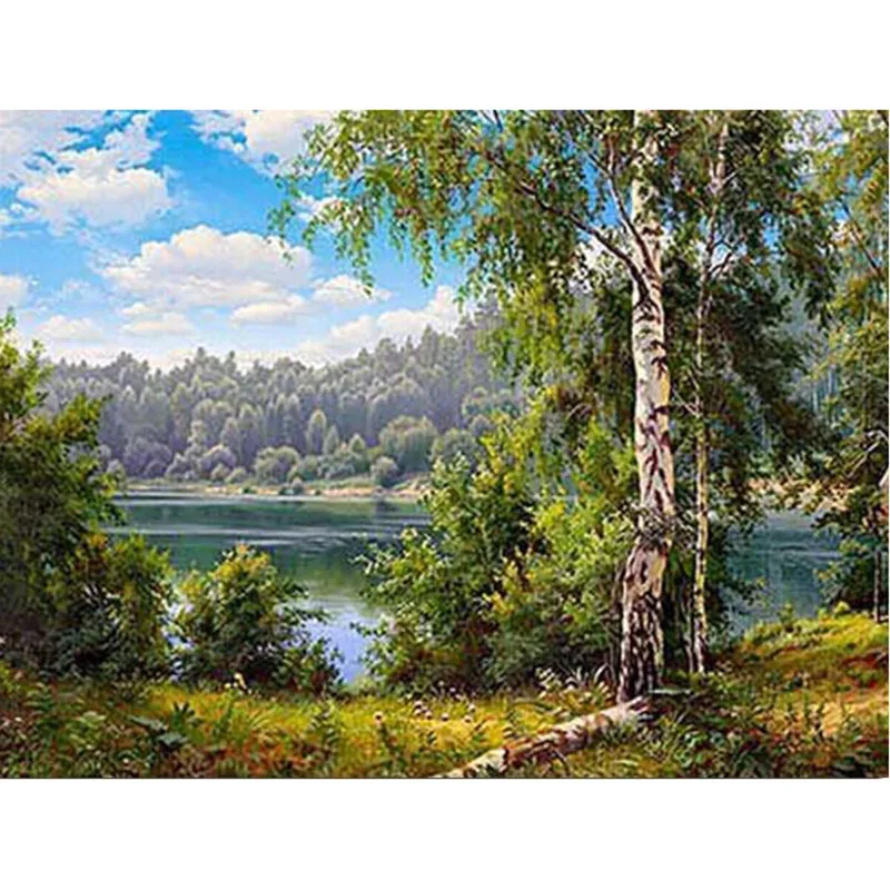 

5d diy Diamond Embroidery painting full round Cross Stitch mosaic square Crystal wall Diamond Home Decor Lake White birch v2013