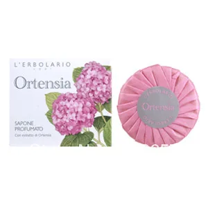 Hydrangea aromatic plants soap TC6736 / 200g Ortensia Perfume Soap|soap  papaya|soap carvingsoap ring - AliExpress