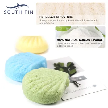 

3 Pcs/Set Conch Facial Cleansing Brushes Face Care Tool Konjac Gum Cleaning Scrubber Facial Exfoliating Brush SPA Skin Scrub