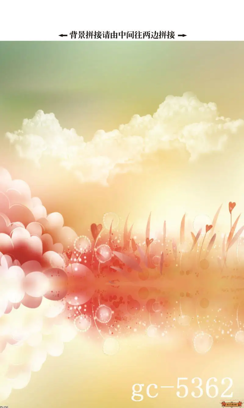 

3*5M Art Cloth Custom Photography Backdrops Prop Indoor theme Studio Background GC-5362