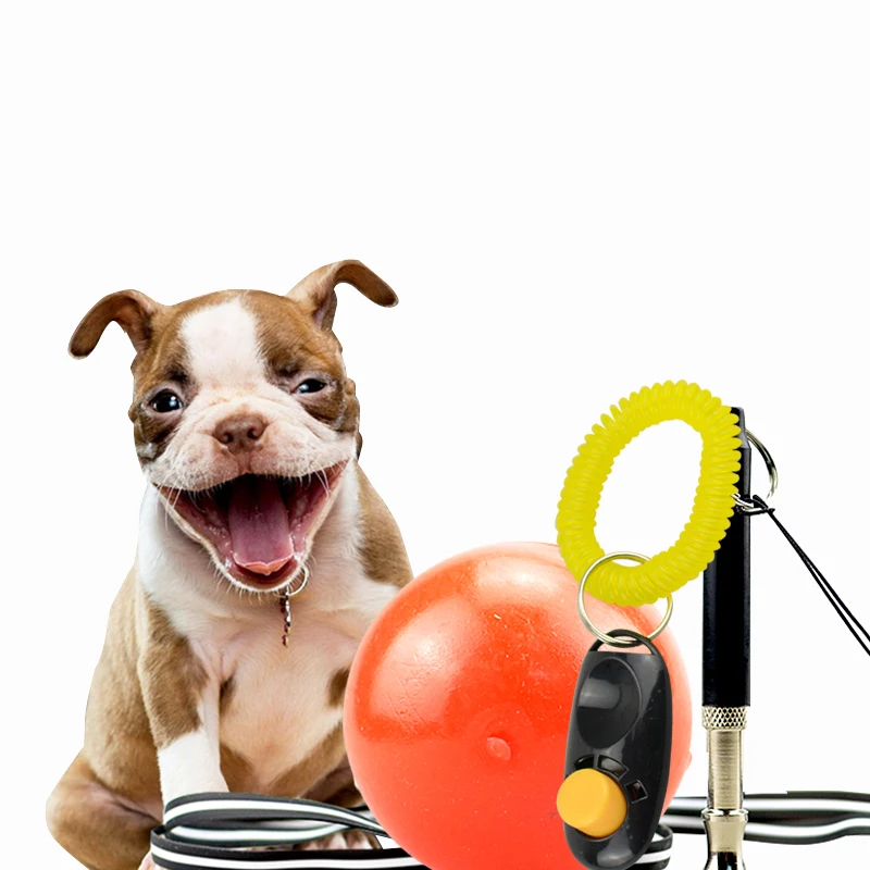 

Dog Training Set Portable Dog Ultrasonic Whistle+Solid Toy Ball+Flying Disc+Pet Training Clicker+Training Treat Bags Feed Pocket