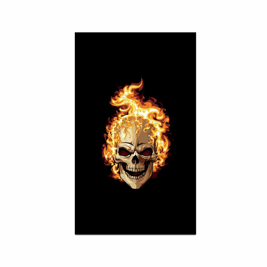 

100% polyester fire burn skull Flag measure 90x150cm/3x5ft banner