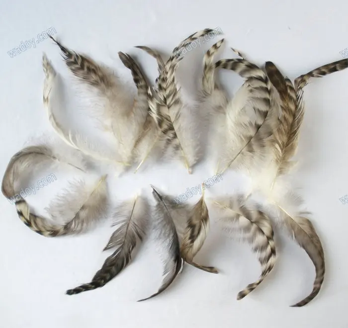 100/lot Rooster Saddle Grizzly Feather Feather hair Extension, 4 6