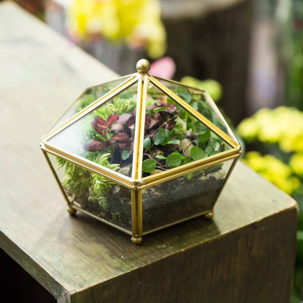 

Artistic Tabletop Clear Glass Geometric Jewel-boxed Shape Succulent Fern Moss Plant Terrarium Glass FlowerPot Bonsai Flower Pot
