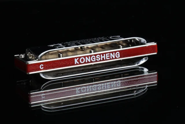 Armonica A 10 Fori KONGSHENG In Bronzo Fosforoso - Tonalità Bb, 20 Toni, Con Chiave E Panno Per Pulizia, Ideale Per Principianti E Professionisti (Bianca) - Foto 10